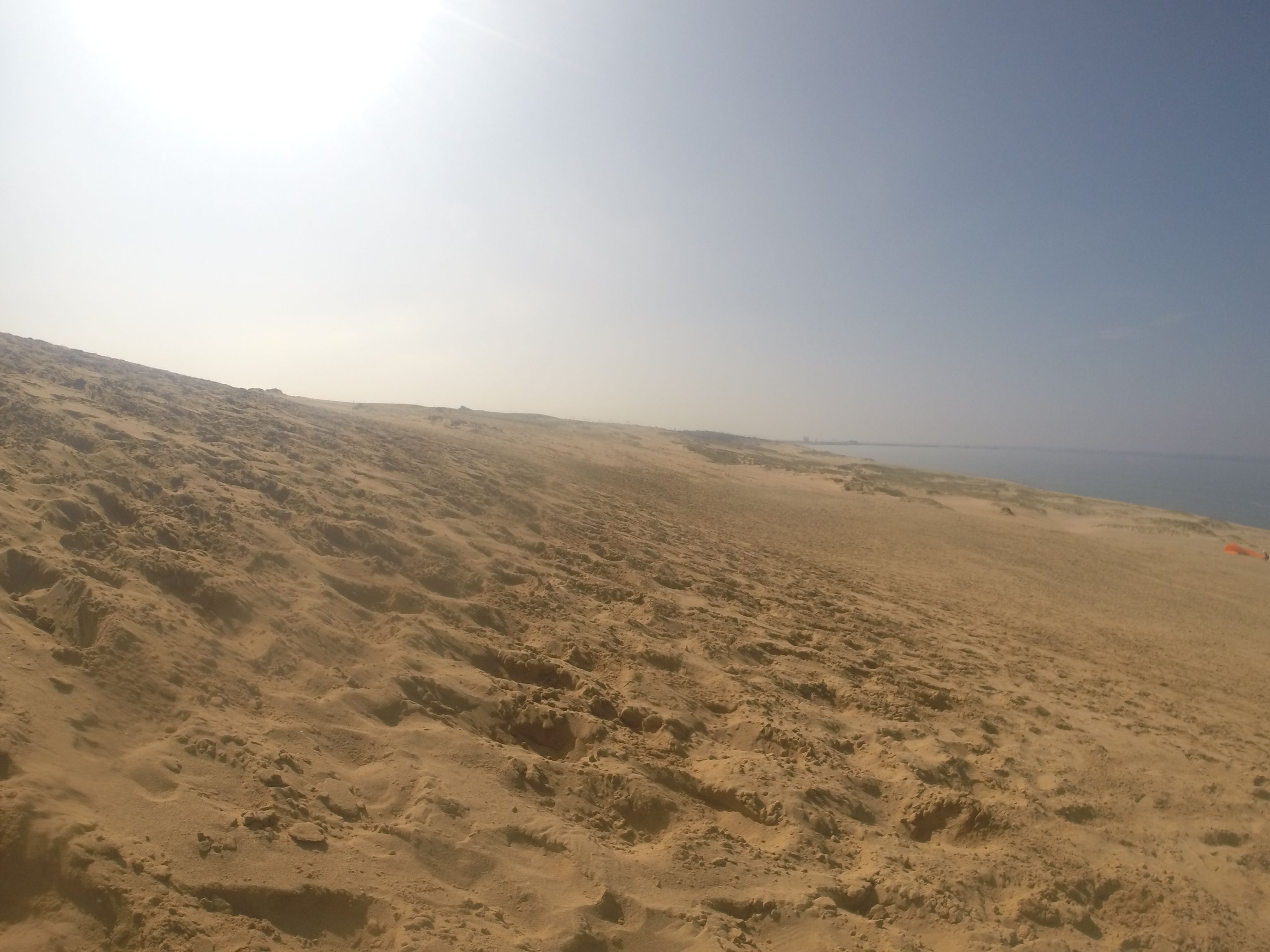 夏を思い出す日差しで、汗が止まらない鳥取砂丘