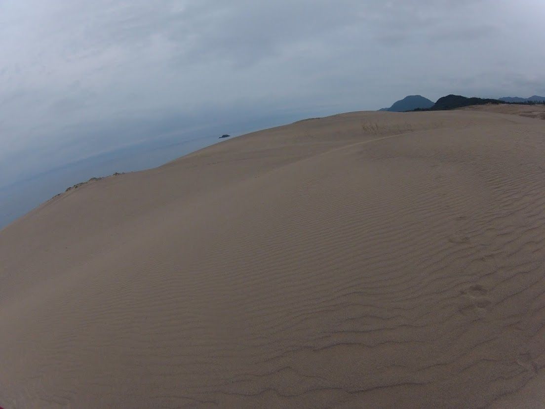 砂丘パラグライダー
