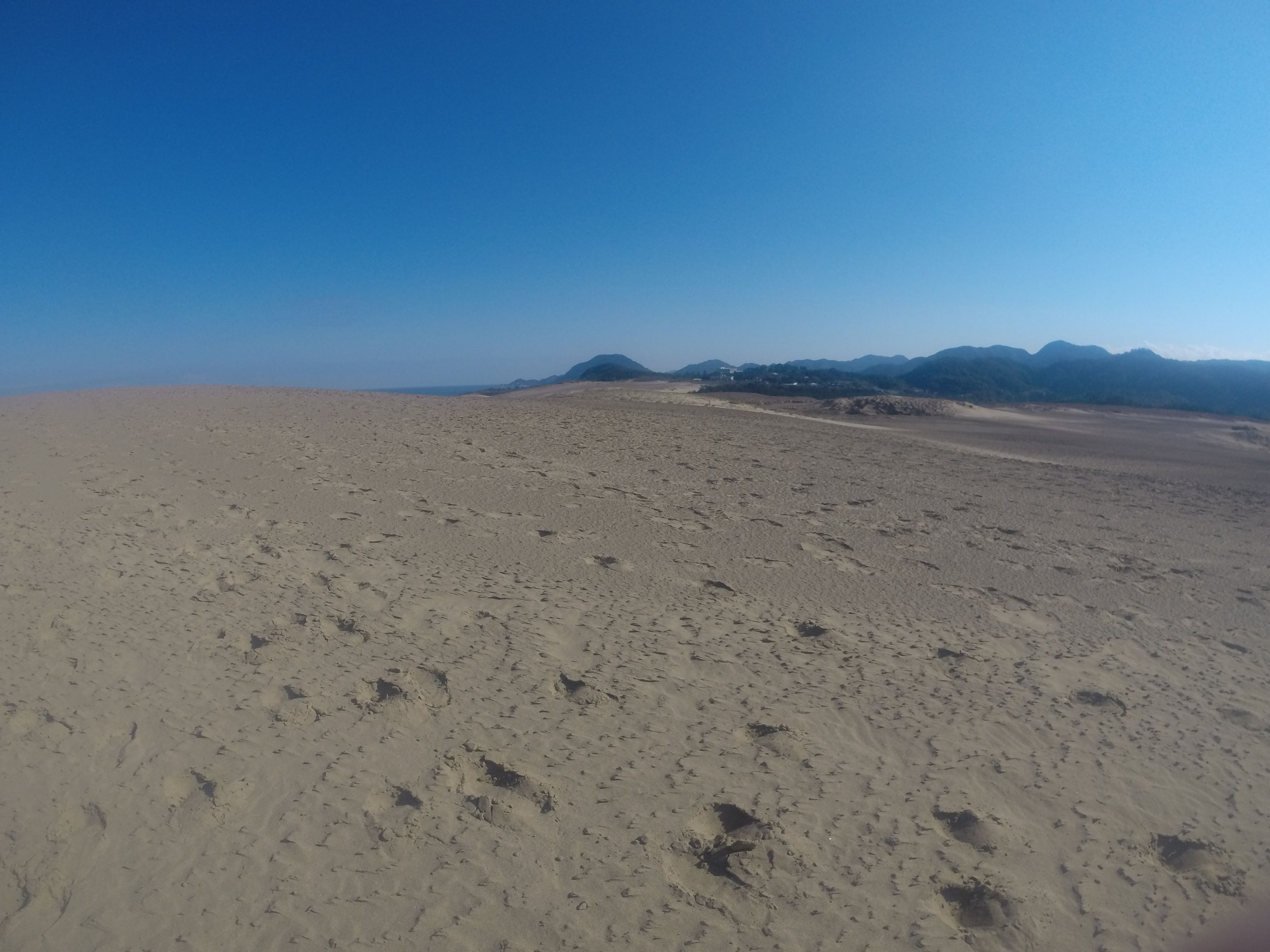 スキッと晴れて、最高の休日となった鳥取砂丘