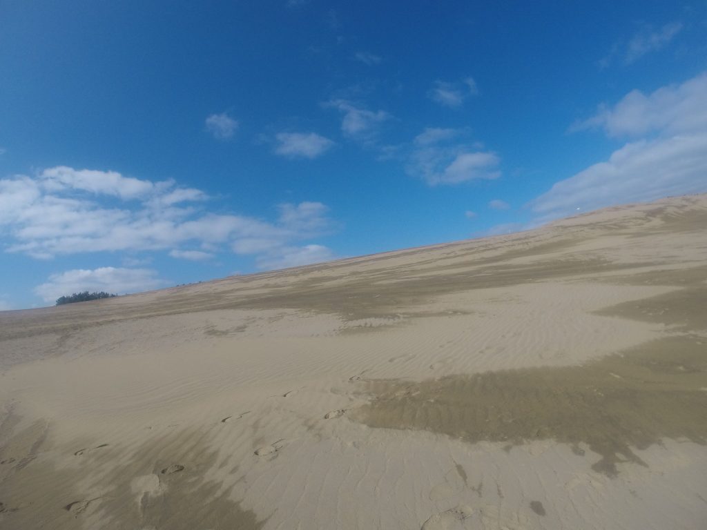 青空いっぱいの鳥取砂丘