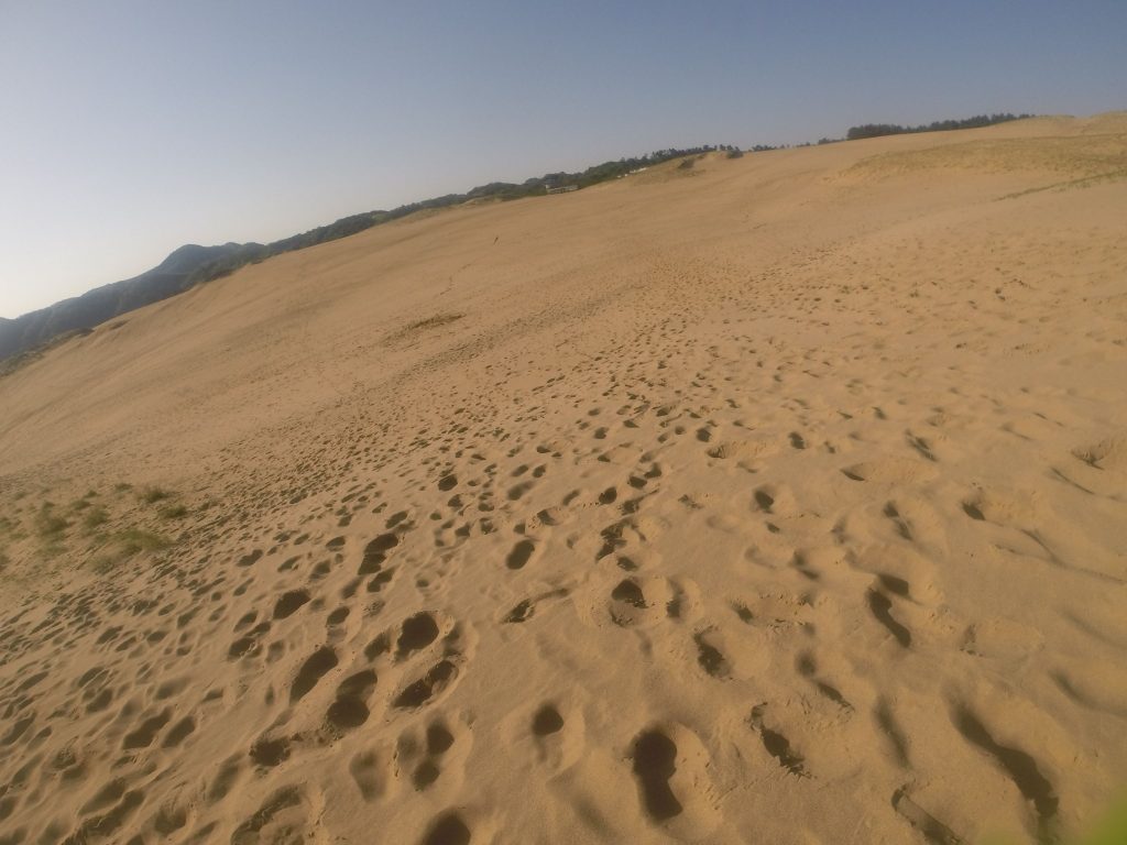足跡が増えてきた鳥取砂丘