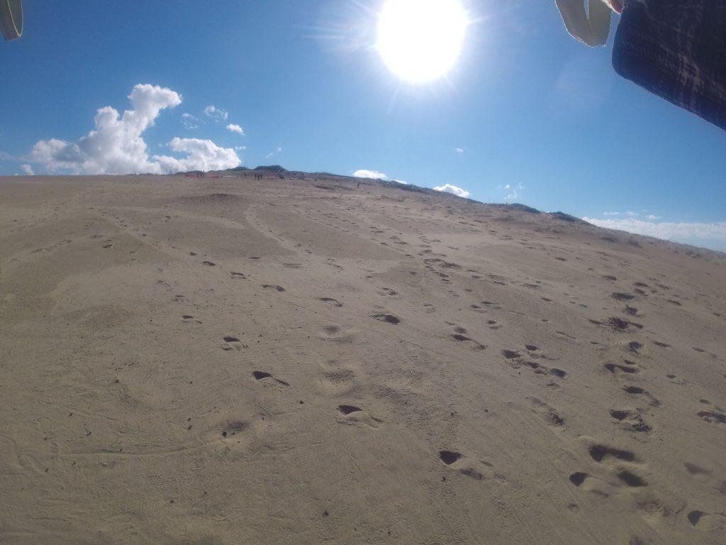 明るい太陽のおかげで、あっという間に砂が乾いた鳥取砂丘