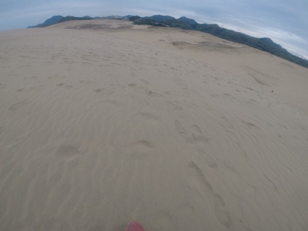 いたる所に足跡が見られる鳥取砂丘